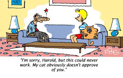 Funny Cartoon - Cat Is Boss